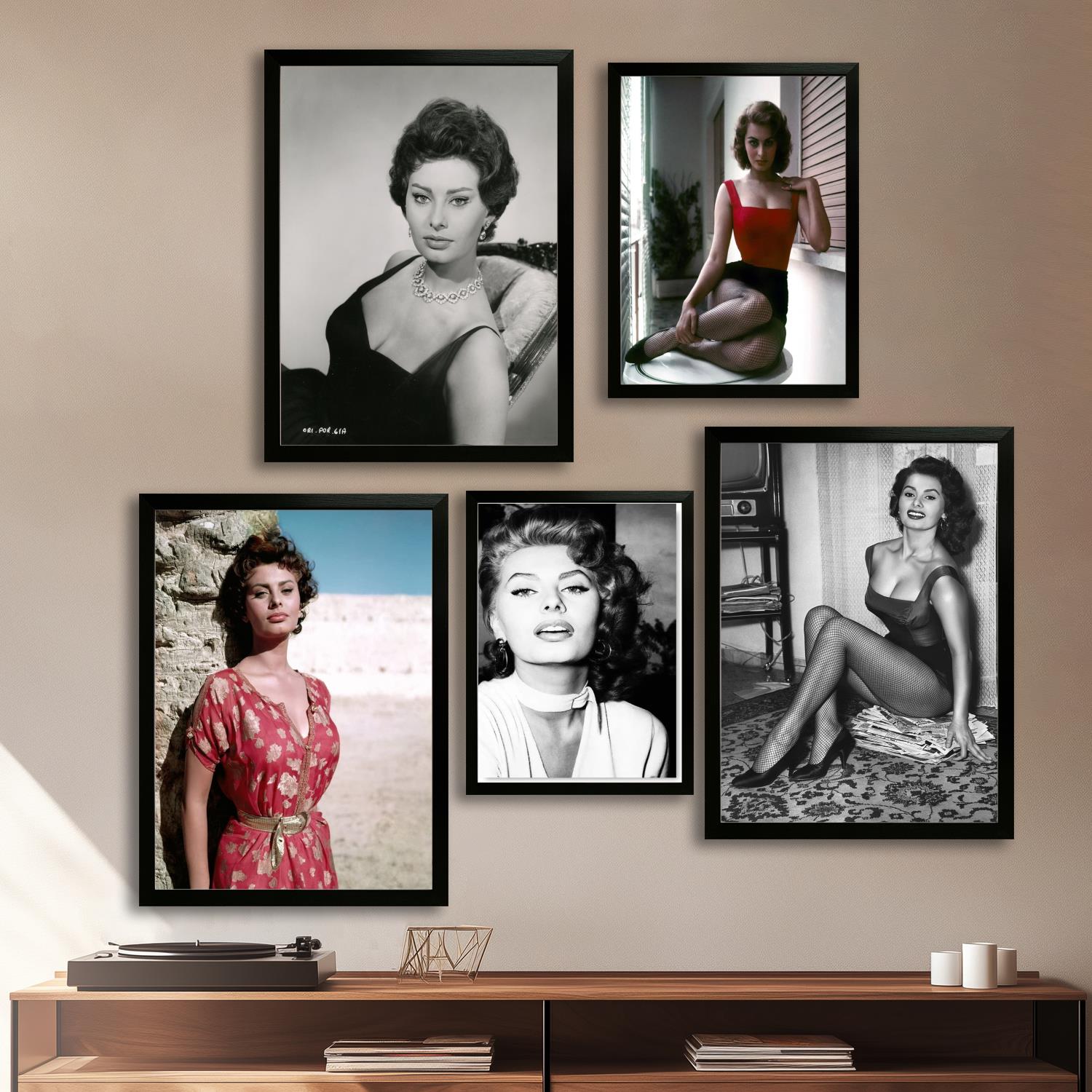 Photography Gallery - sophia loren Canvas Art Poster and