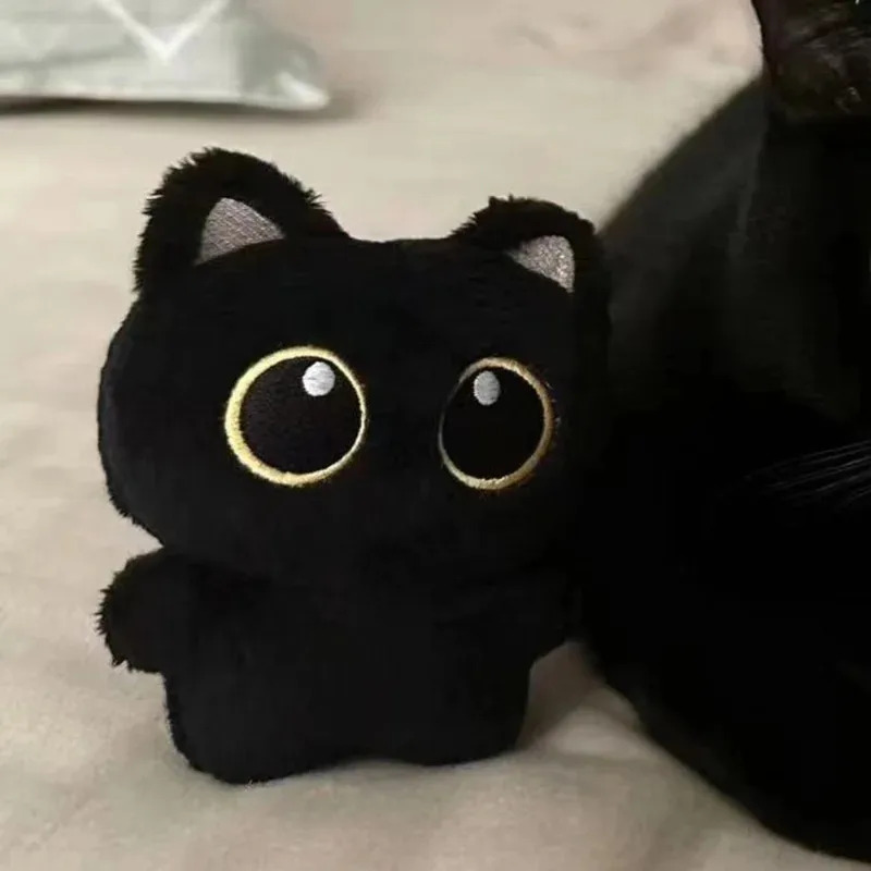 Cute plush toy of a black cat, – Photography Rules Bewertung und Preis