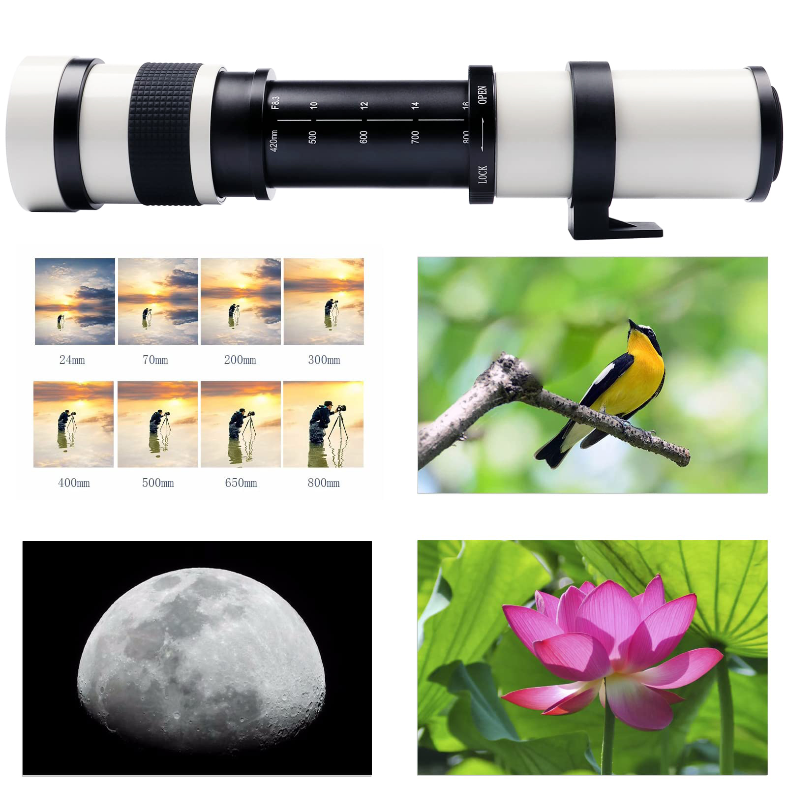 420-800mm F8.3-F16 Manual Zoom – Photography Ratio Bewertung und Preis