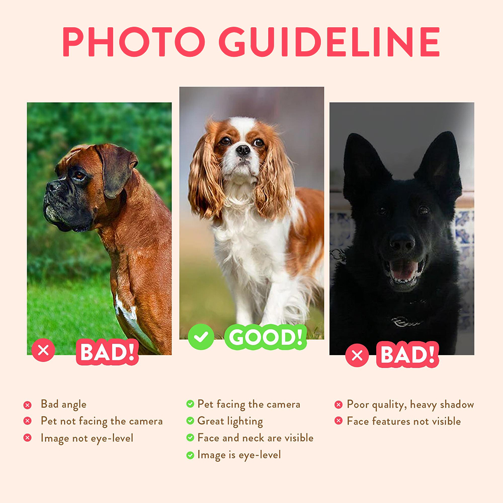 Personalized Pet Portraits Pho – Photographic Memory Bewertung und Preis