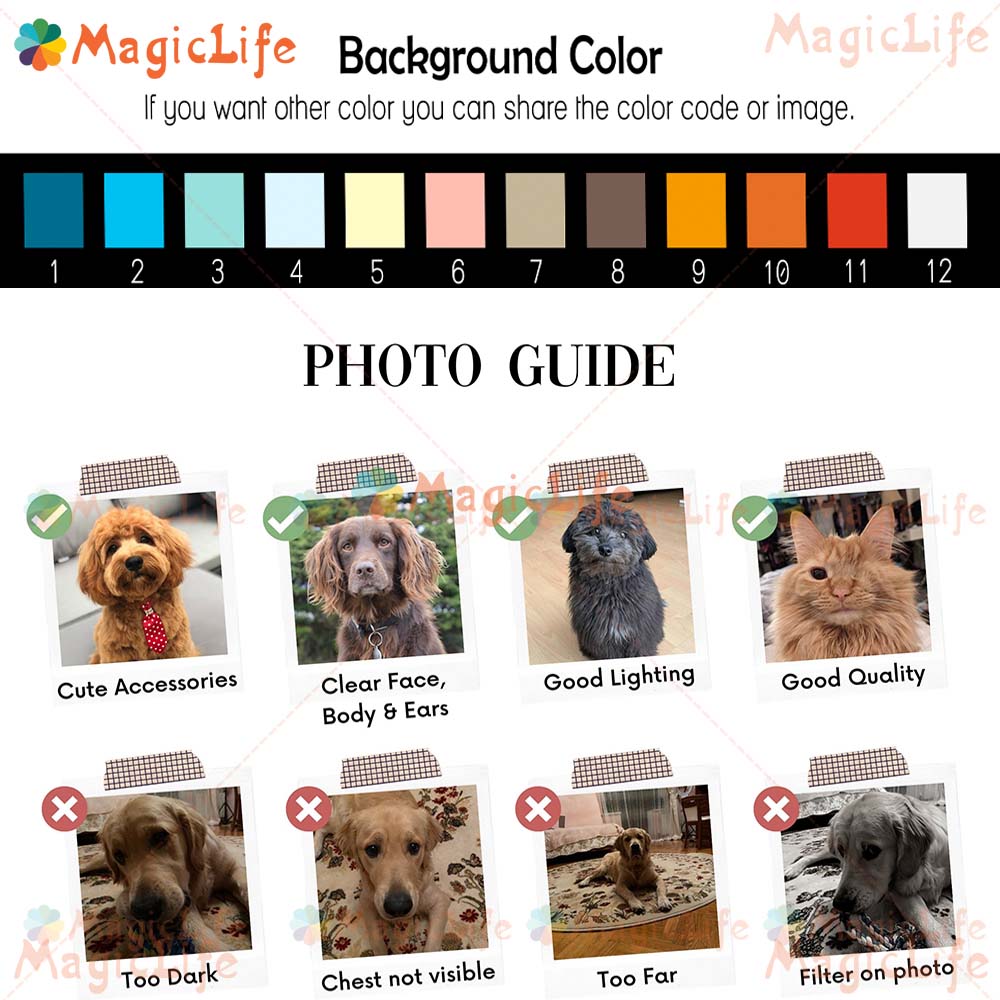 Custom Pet Photo and Name Anim – Photography Zone Bewertung und Preis