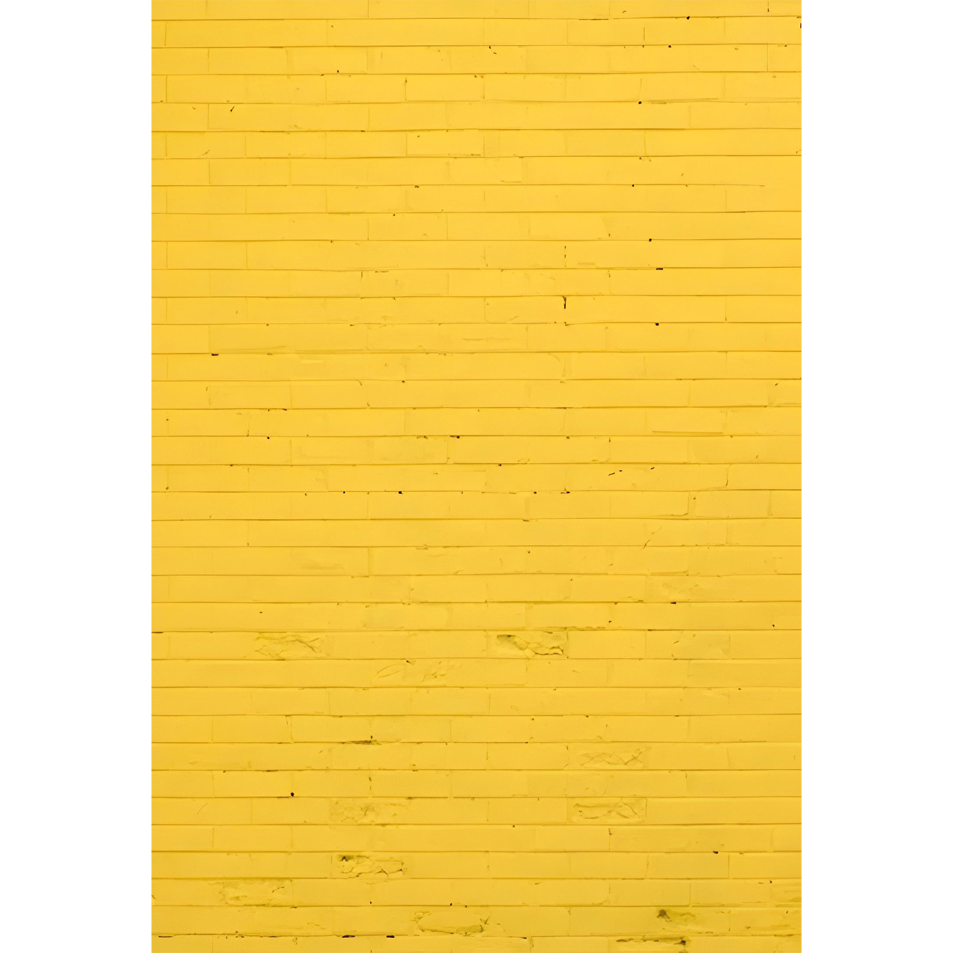 Photography background cloth F – Photography Zone Bewertung und Preis