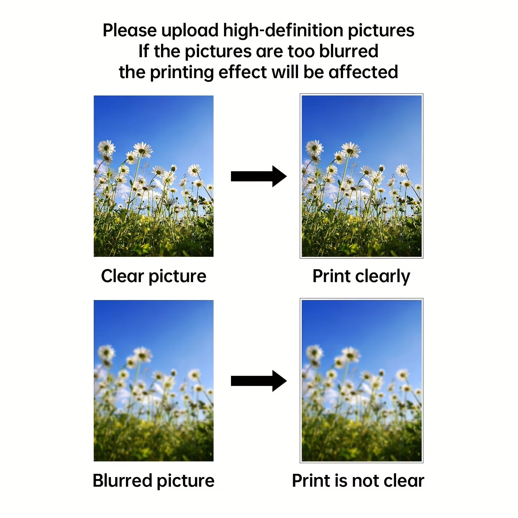 Custom Print Canvas Painting F – Photography Gallery Bewertung und Preis